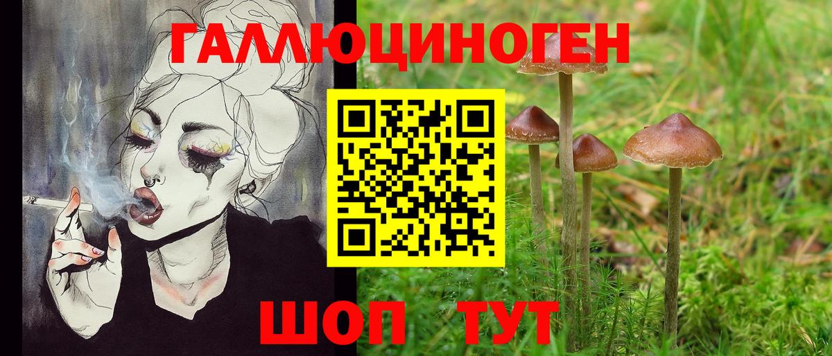 Янаул  Галлюциногенные грибы MAGIC MUSHROOMS  дарнет шоп  Вход с VPN 