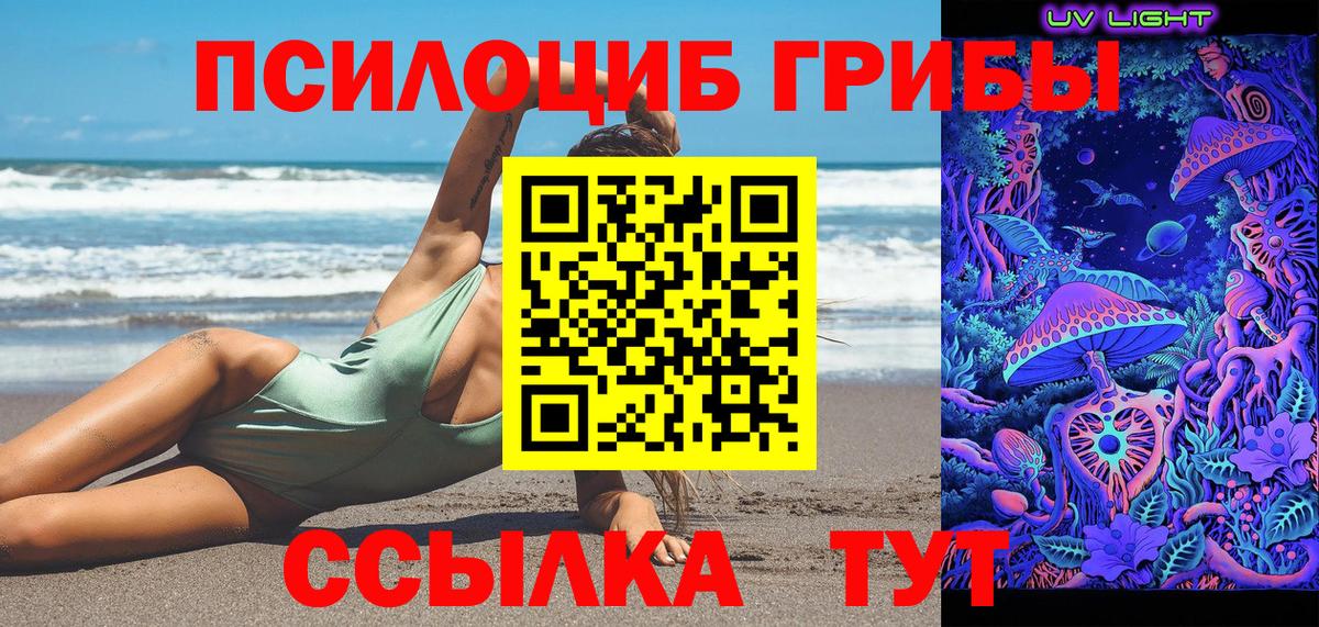 Галлюциногенные грибы Psilocybine cubensis Янаул